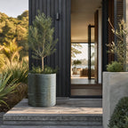 Muriwai Planter 55
