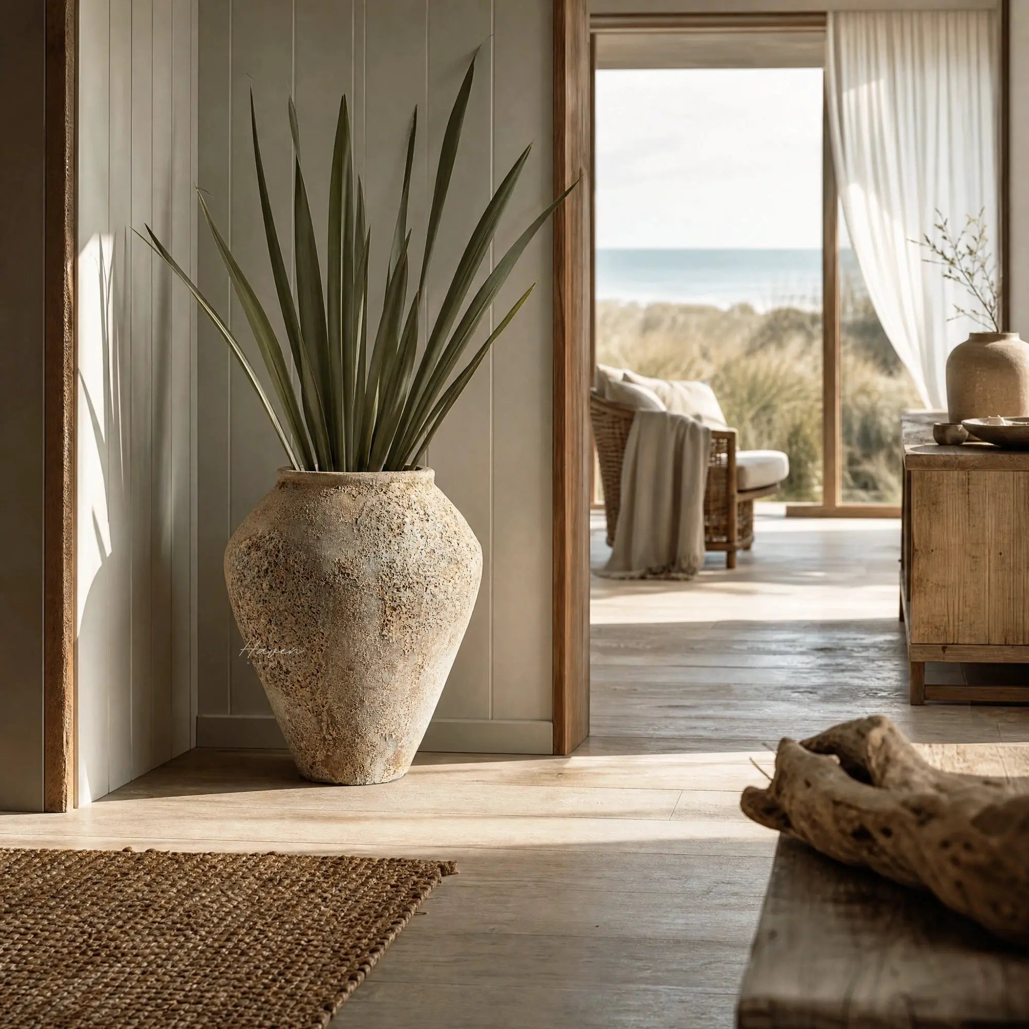 MUUBS Pot Trace 55 coral/sand terracotta planter with tall spiky plant in a sunlit coastal interior.