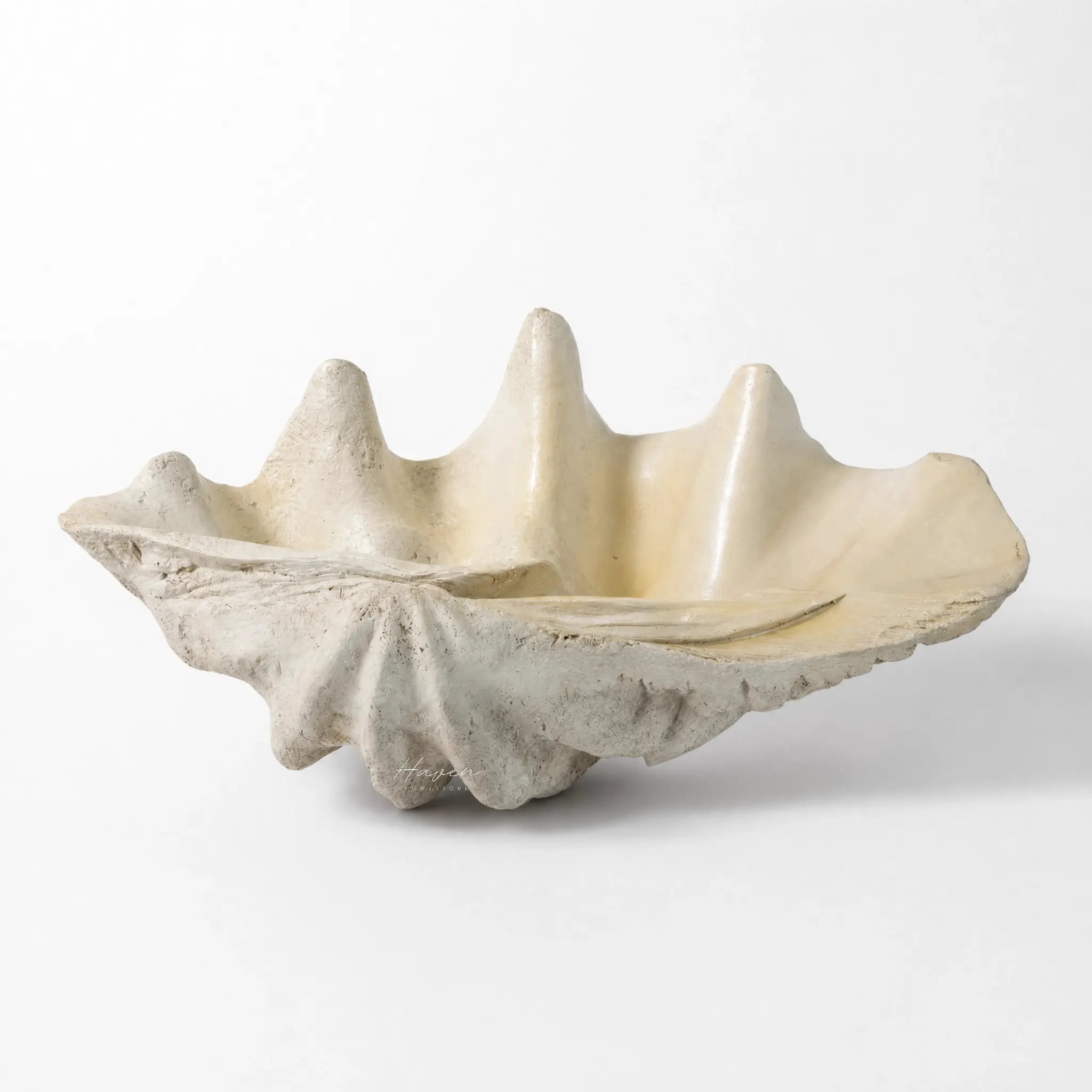 Large clam shell decor with textured exterior and glossy interior for coastal styling