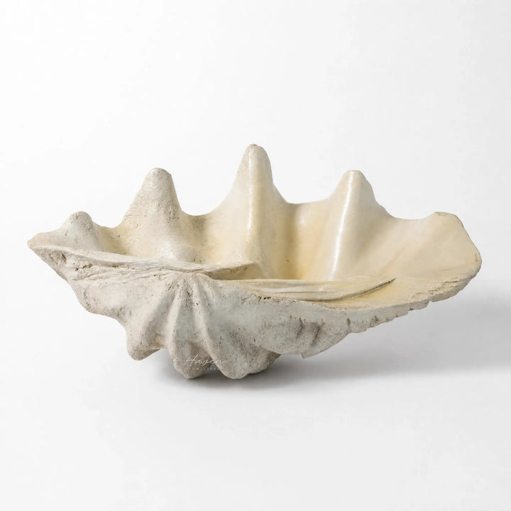 Large clam shell decor with textured exterior and glossy interior for coastal styling