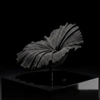 COBONPUE Bloom Easy Armchair