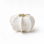 Suzu vase made of fine bone china by artisan family in the Philippines. Sculptural statement piece for home decor